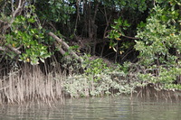 Canon EOS 5D Mark II, 2014:07:19 14:29:17 -- 1/80 sec, f/5.6.  No Flash, Compulsory.5616x3744 Off.