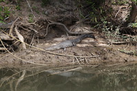 Canon EOS 5D Mark II, 2014:07:19 14:44:15 -- 1/80 sec, f/7.1.  No Flash, Compulsory.5616x3744 Off.