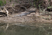 Canon EOS 5D Mark II, 2014:07:19 14:44:21 -- 1/80 sec, f/7.1.  No Flash, Compulsory.5616x3744 Off.