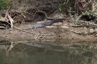 Canon EOS 5D Mark II, 2014:07:19 14:44:24 -- 1/80 sec, f/7.1.  No Flash, Compulsory.5616x3744 Off.