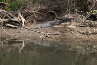 Canon EOS 5D Mark II, 2014:07:19 14:44:33 -- 1/80 sec, f/8.0.  No Flash, Compulsory.5616x3744 Off.