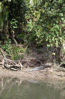 Canon EOS 5D Mark II, 2014:07:19 14:44:39 -- 1/80 sec, f/5.6.  No Flash, Compulsory.5616x3744 Off.