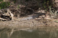 Canon EOS 5D Mark II, 2014:07:19 14:44:59 -- 1/80 sec, f/9.0.  No Flash, Compulsory.5616x3744 Off.