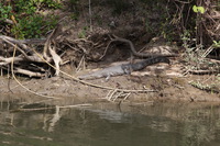 Canon EOS 5D Mark II, 2014:07:19 14:45:13 -- 1/80 sec, f/9.0.  No Flash, Compulsory.5616x3744 Off.