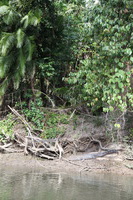 Canon EOS 5D Mark II, 2014:07:19 14:45:27 -- 1/80 sec, f/5.0.  No Flash, Compulsory.5616x3744 Off.