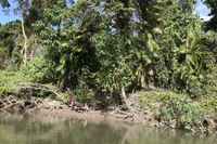 Canon EOS 5D Mark II, 2014:07:19 14:45:39 -- 1/80 sec, f/9.0.  No Flash, Compulsory.5616x3744 Off.