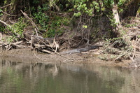 Canon EOS 5D Mark II, 2014:07:19 14:45:54 -- 1/80 sec, f/7.1.  No Flash, Compulsory.5616x3744 Off.