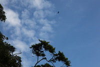 Canon EOS 5D Mark II, 2014:07:19 14:46:24 -- 1/80 sec, f/16.0.  No Flash, Compulsory.5616x3744 Off.