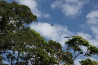 Canon EOS 5D Mark II, 2014:07:19 14:46:58 -- 1/80 sec, f/16.0.  No Flash, Compulsory.5616x3744 Off.