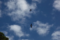 Canon EOS 5D Mark II, 2014:07:19 14:47:05 -- 1/80 sec, f/16.0.  No Flash, Compulsory.5616x3744 Off.