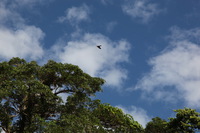 Canon EOS 5D Mark II, 2014:07:19 14:47:24 -- 1/80 sec, f/18.0.  No Flash, Compulsory.5616x3744 Off.