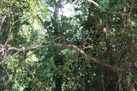 Canon EOS 5D Mark II, 2014:07:19 14:52:19 -- 1/60 sec, f/5.6.  No Flash, Compulsory.5616x3744 Off.