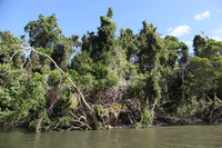 Canon EOS 5D Mark II, 2014:07:19 14:59:07 -- 1/60 sec, f/10.0.  No Flash, Compulsory.5616x3744 Off.