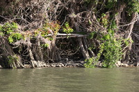 Canon EOS 5D Mark II, 2014:07:19 14:59:09 -- 1/60 sec, f/8.0.  No Flash, Compulsory.5616x3744 Off.