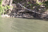 Canon EOS 5D Mark II, 2014:07:19 14:59:29 -- 1/60 sec, f/6.3.  No Flash, Compulsory.5616x3744 Off.