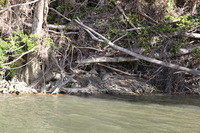 Canon EOS 5D Mark II, 2014:07:19 14:59:40 -- 1/60 sec, f/6.3.  No Flash, Compulsory.5616x3744 Off.