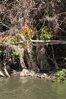 Canon EOS 5D Mark II, 2014:07:19 14:59:53 -- 1/60 sec, f/10.0.  No Flash, Compulsory.5616x3744 Off.