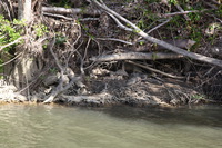 Canon EOS 5D Mark II, 2014:07:19 14:59:58 -- 1/60 sec, f/7.1.  No Flash, Compulsory.5616x3744 Off.