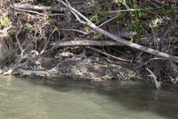 Canon EOS 5D Mark II, 2014:07:19 15:00:12 -- 1/60 sec, f/7.1.  No Flash, Compulsory.5616x3744 Off.