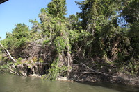 Canon EOS 5D Mark II, 2014:07:19 15:00:29 -- 1/60 sec, f/9.0.  No Flash, Compulsory.5616x3744 Off.