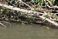 Canon EOS 5D Mark II, 2014:07:19 15:06:46 -- 1/60 sec, f/10.0.  No Flash, Compulsory.5616x3744 Off.