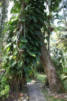 Canon EOS 5D Mark II, 2014:07:19 15:13:34 -- 1/60 sec, f/4.0.  No Flash, Compulsory.5616x3744 Off.