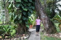 Canon EOS 5D Mark II, 2014:07:19 15:22:07 -- 1/60 sec, f/4.5.  No Flash, Compulsory.5616x3744 Off.