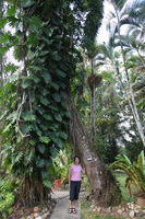 Canon EOS 5D Mark II, 2014:07:19 15:22:18 -- 1/60 sec, f/4.0.  No Flash, Compulsory.5616x3744 Off.