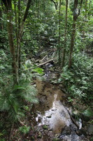 Canon EOS 5D Mark II, 2014:07:19 16:06:36 -- 1/60 sec, f/4.5.  No Flash, Compulsory.5616x3744 Off.