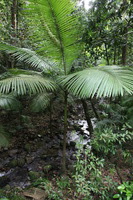 Canon EOS 5D Mark II, 2014:07:19 16:07:20 -- 1/60 sec, f/4.0.  No Flash, Compulsory.5616x3744 Off.