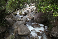 Canon EOS 5D Mark II, 2014:07:19 16:17:41 -- 1/60 sec, f/4.5.  No Flash, Compulsory.5616x3744 Off.