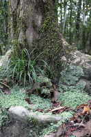 Canon EOS 5D Mark II, 2014:07:19 16:19:56 -- 1/60 sec, f/4.5.  No Flash, Compulsory.5616x3744 Off.