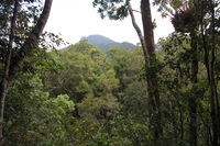 Canon EOS 5D Mark II, 2014:07:19 16:21:23 -- 1/60 sec, f/4.5.  No Flash, Compulsory.5616x3744 Off.