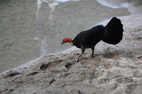 Canon EOS 5D Mark II, 2014:07:19 16:38:27 -- 1/60 sec, f/4.5.  No Flash, Compulsory.5616x3744 Off.