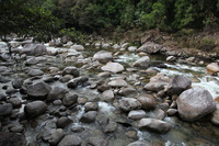 Canon EOS 5D Mark II, 2014:07:19 16:41:59 -- 1/60 sec, f/4.5.  No Flash, Compulsory.5616x3744 Off.