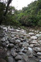 Canon EOS 5D Mark II, 2014:07:19 16:42:02 -- 1/60 sec, f/4.5.  No Flash, Compulsory.5616x3744 Off.