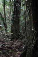 Canon EOS 5D Mark II, 2014:07:19 16:44:57 -- 1/60 sec, f/4.0.  No Flash, Compulsory.5616x3744 Off.