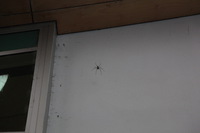 Canon EOS 5D Mark II, 2014:07:19 16:56:32 -- 1/60 sec, f/4.0.  No Flash, Compulsory.5616x3744 Off.