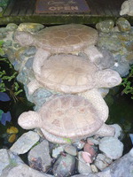 DMC-TS5, 2014:07:19 08:52:48 -- 1/60 sec, f/3.3.  Flash.Flash, Auto.4608x3456 0.00 EV.