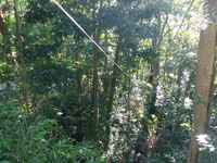 DMC-TS5, 2014:07:19 09:18:49 -- 1/125 sec, f/3.3.  Flash.Flash, Auto.4608x3456 0.00 EV.