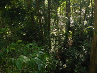 DMC-TS5, 2014:07:19 09:19:08 -- 1/250 sec, f/3.3.  Flash.Flash, Auto.4608x3456 0.00 EV.