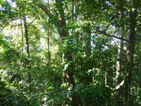 DMC-TS5, 2014:07:19 09:21:28 -- 1/60 sec, f/3.3.  No Flash, Auto.4608x3456 0.00 EV.