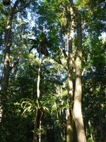 DMC-TS5, 2014:07:19 09:27:44 -- 1/160 sec, f/3.3.  No Flash, Auto.4608x3456 0.00 EV.