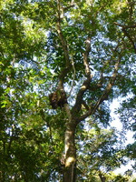 DMC-TS5, 2014:07:19 09:27:53 -- 1/160 sec, f/5.3.  No Flash, Auto.4608x3456 0.00 EV.