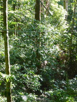 DMC-TS5, 2014:07:19 09:29:35 -- 1/160 sec, f/5.3.  No Flash, Auto.4608x3456 0.00 EV.