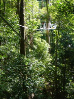 DMC-TS5, 2014:07:19 09:29:52 -- 1/160 sec, f/5.3.  No Flash, Auto.4608x3456 0.00 EV.