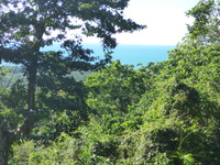 DMC-TS5, 2014:07:19 09:32:04 -- 1/160 sec, f/5.3.  No Flash, Auto.4608x3456 0.00 EV.