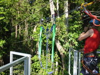 DMC-TS5, 2014:07:19 09:33:55 -- 1/320 sec, f/3.3.  No Flash, Auto.4608x3456 0.00 EV.