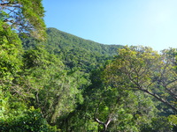 DMC-TS5, 2014:07:19 09:35:18 -- 1/320 sec, f/3.3.  No Flash, Auto.4608x3456 0.00 EV.