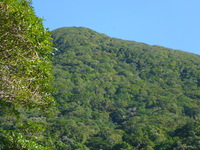 DMC-TS5, 2014:07:19 09:35:41 -- 1/125 sec, f/5.9.  No Flash, Auto.4608x3456 0.00 EV.